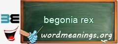 WordMeaning blackboard for begonia rex